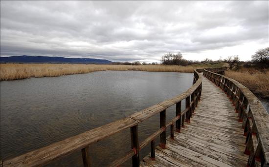 La Comunidad de Regantes 'Sierra de Altomira' pide el mismo trato que los regantes del acuífero 23